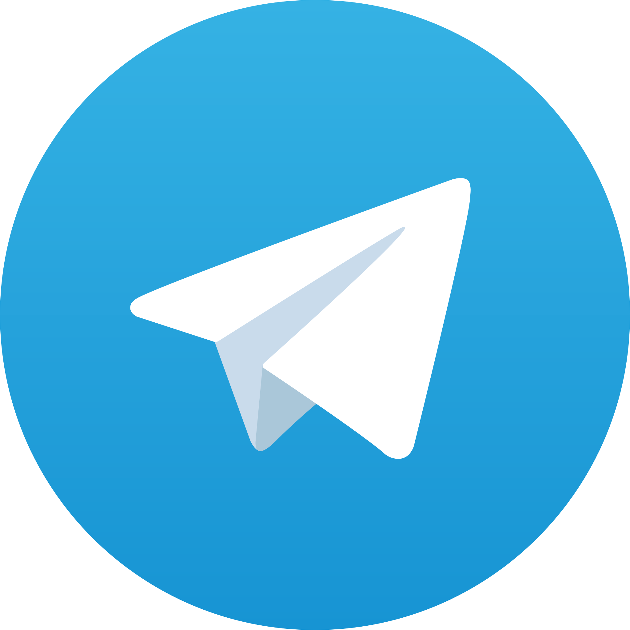 Telegram Telegram Logo
